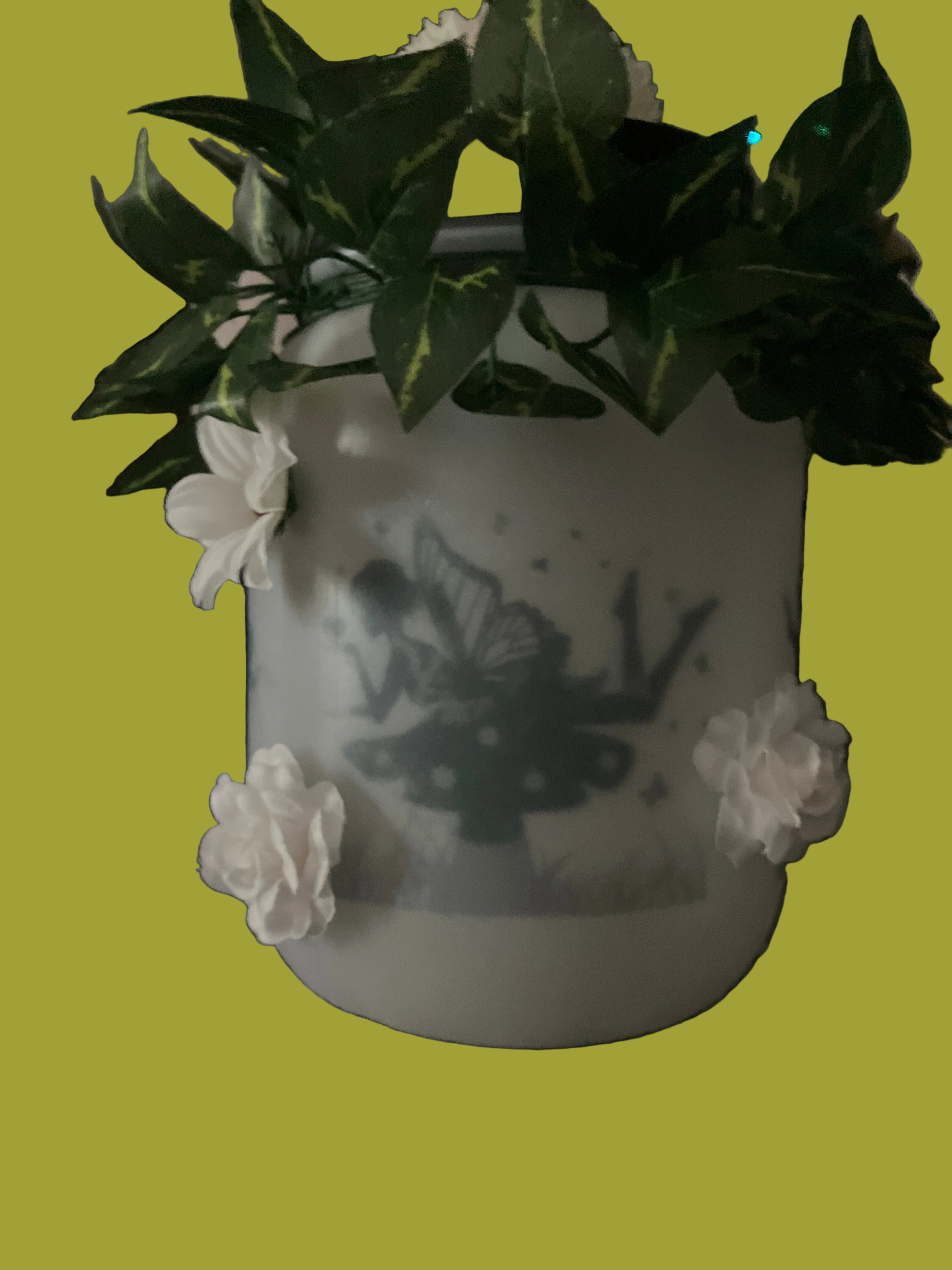 Fairy Lantern