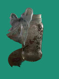 Glass Etched Flower Gifting Jar