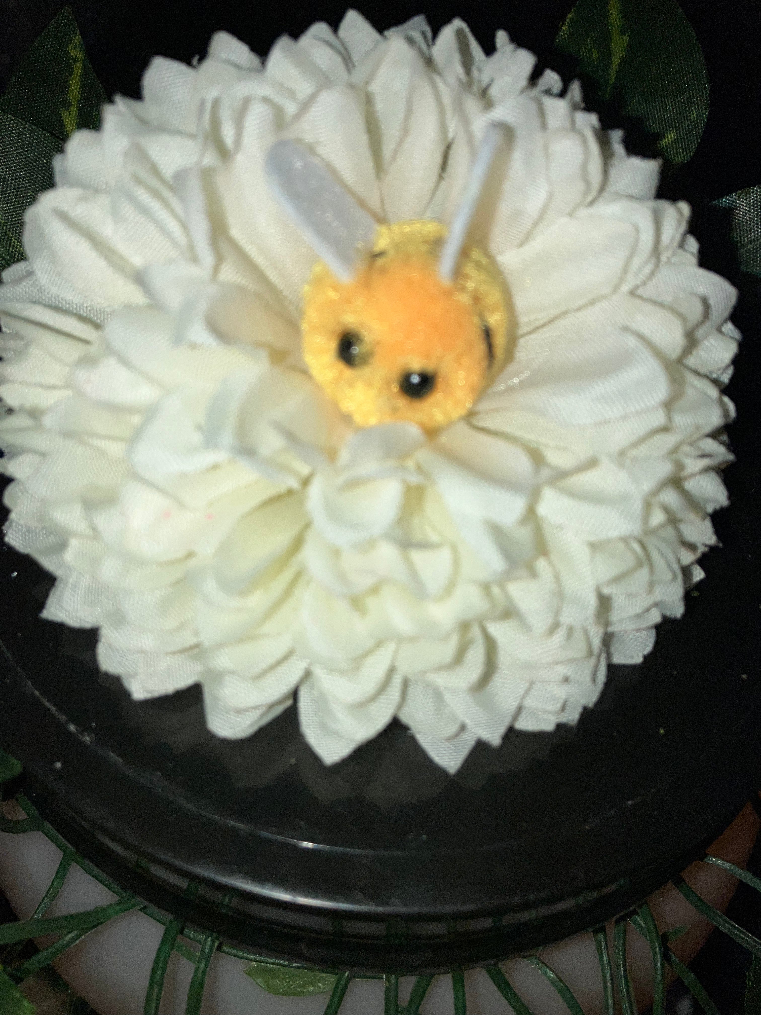 Fairy Lantern